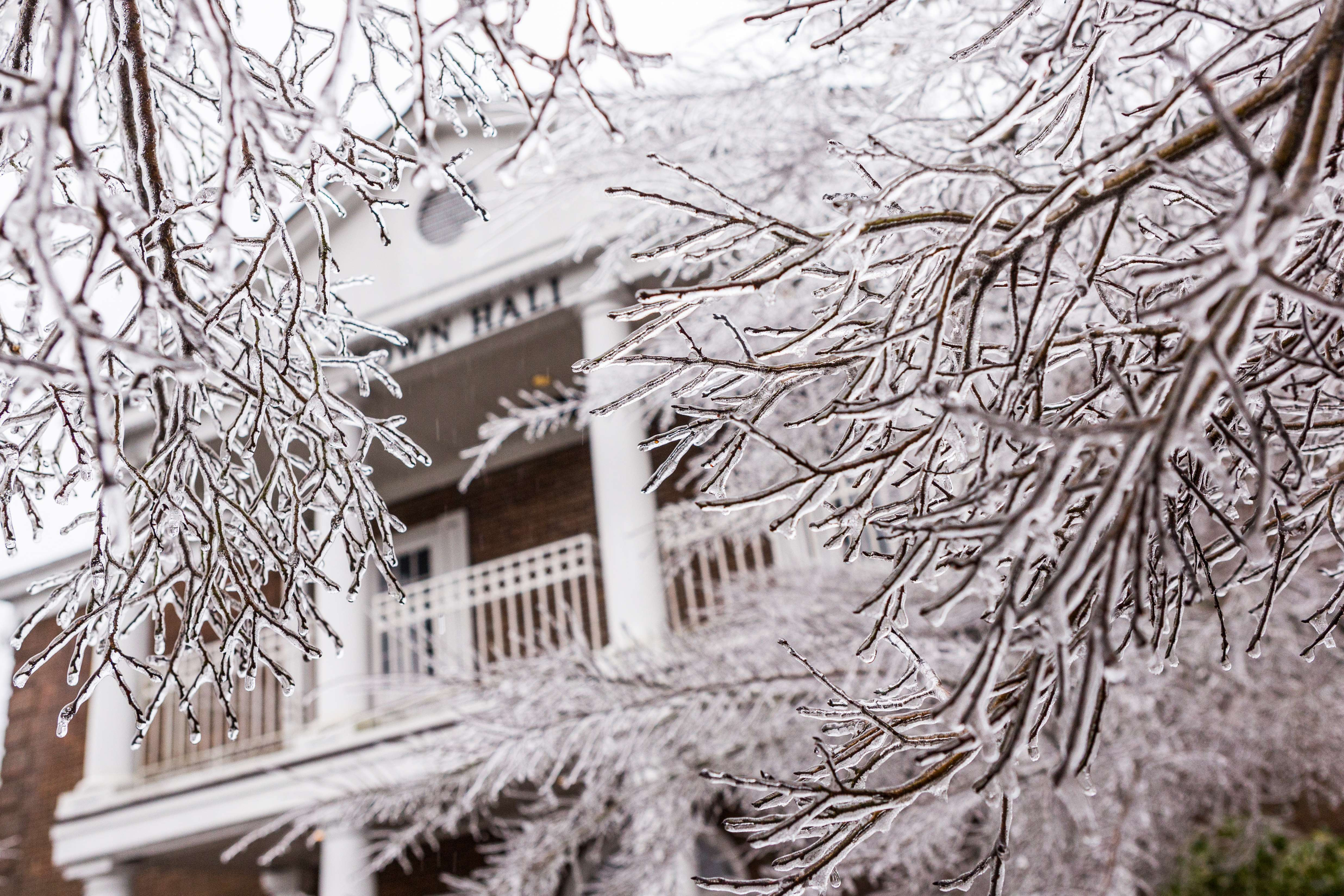 "Freezing rain" în România. Meteorologii, despre fenomenul de "ploaie înghețată"