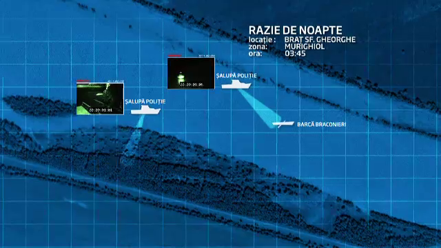 Drumul sturionilor spre disparitie. Braconajul ameninta programele de repopulare cu cel mai valoros peste din Romania