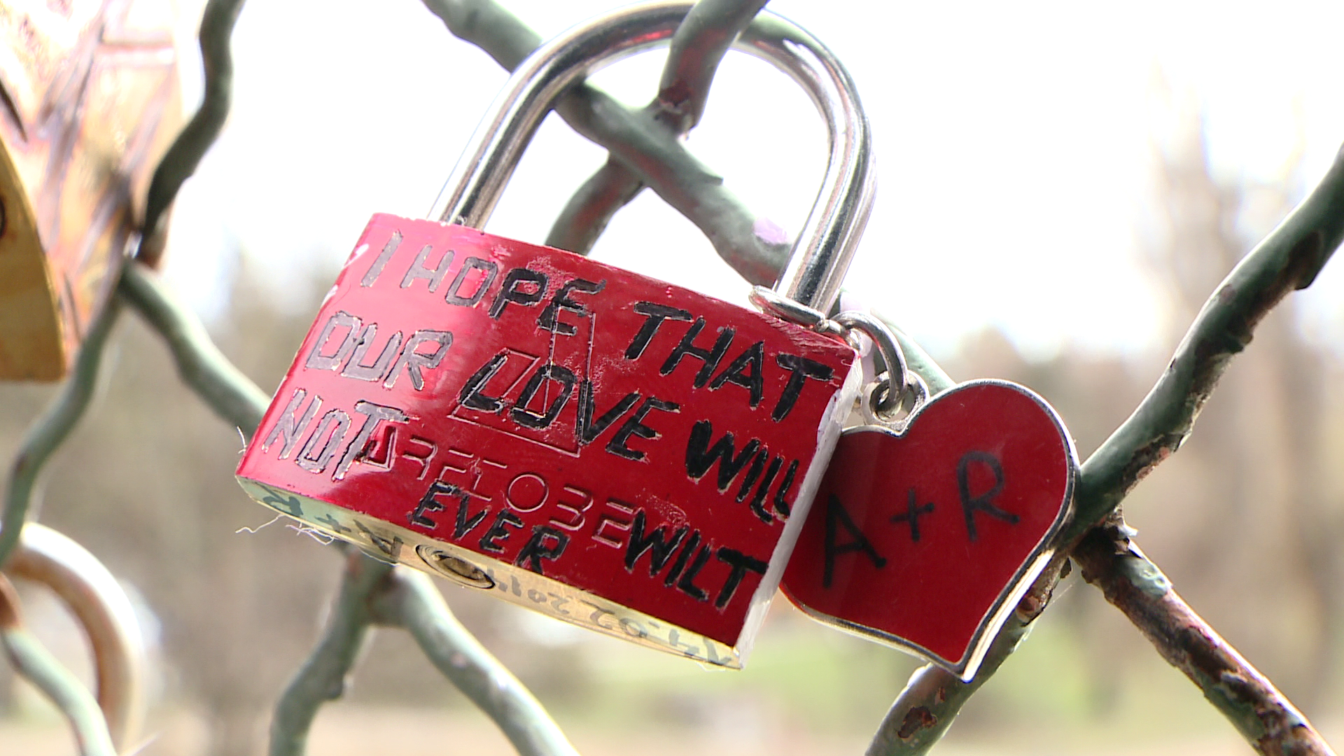 Indragostitii si-au jurat iubire vesnica si au ferecat lacate, pe podul de langa Parcul Copiilor. FOTO