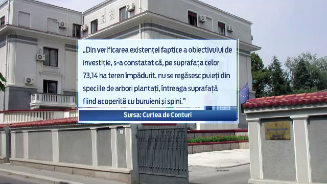 Avem paduri in acte, dar nu si in realitate. Ce scuza au autoritatile din Timis pentru lipsa a 70 de hectare de stejar