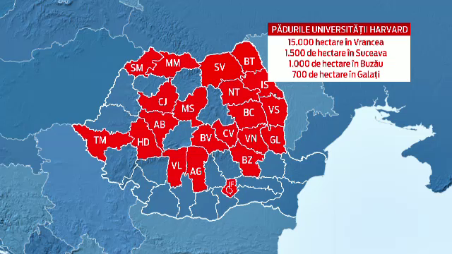 Doi soti din Botosani au facut Romania de rusine. Metoda prin care au furat UN MILION de euro, pacalind experti de la Harvard