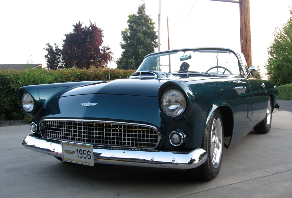 De ce nu pot evita pasarile lovirea parbrizului unei masini