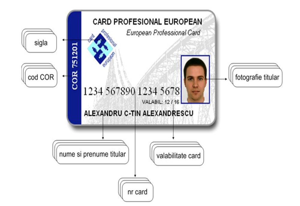 Card profesional european