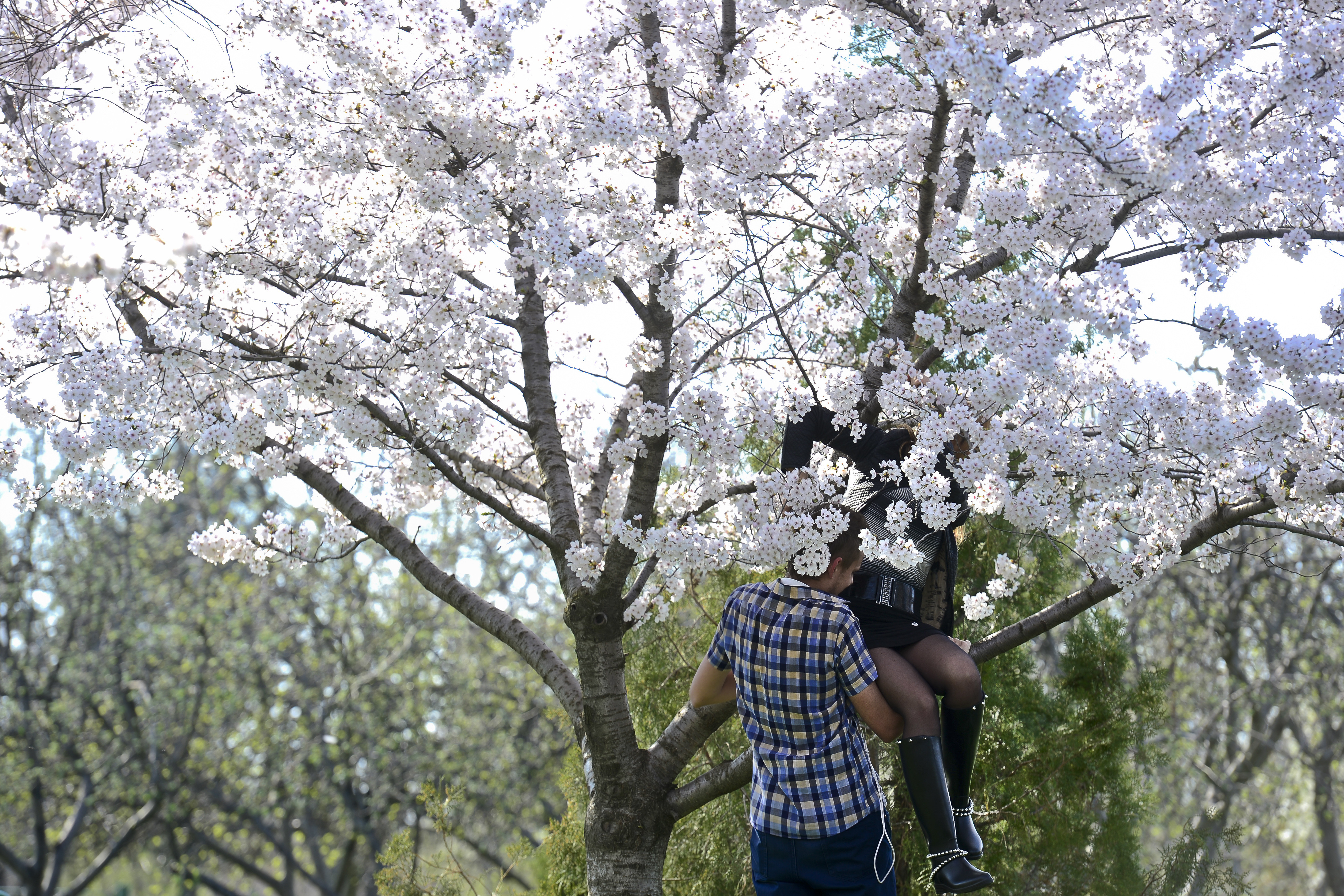 Vreme calda pana la finalul saptamanii. Zonele in care temperaturile scad in weekendul urmator