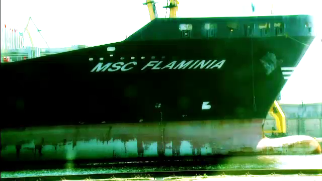 Flaminia
