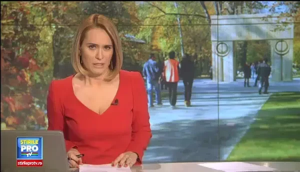 Poarta Sarutului, analizata luni de experti straini. Parerile specialistilor despre gaurile din operele lui Brancusi