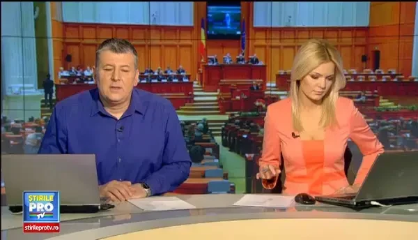 Revizuirea Constitutiei, un nou motiv de cearta intre PNL si PSD. USL ar putea renunta la proiect