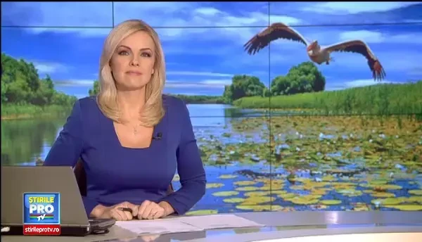 Romanii mananca iepuri de la chinezi, in timp ce carnea autohtona ajunge in Ungaria. Ce spun nutritionistii