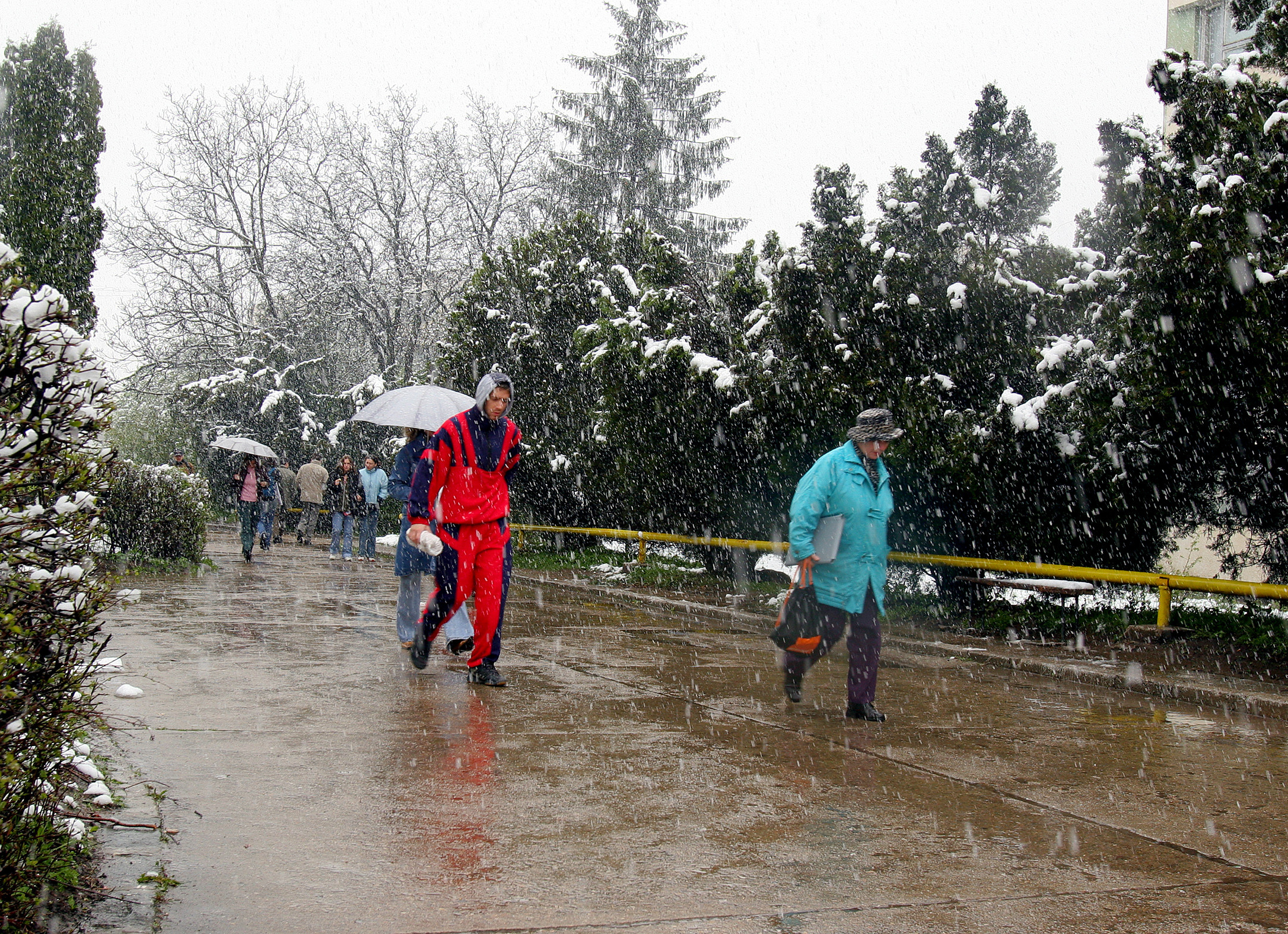 Saptamana incepe cu ninsori, lapovita si ploi. Prognoza meteo pana miercuri