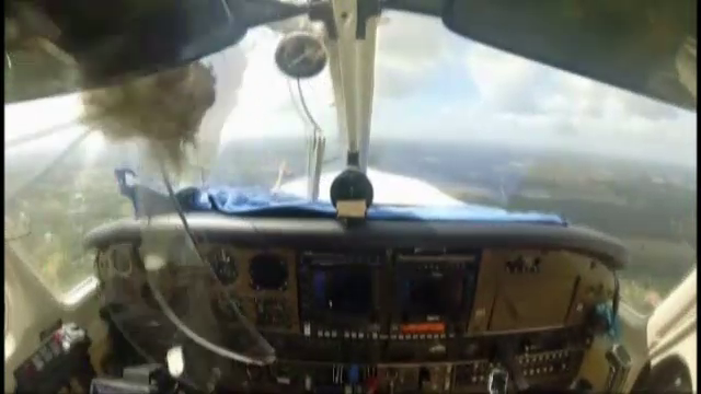 Experienta neobisnuita pentru un pilot. O pasare a intrat in geamul cabinei si a ajuns direct in avion
