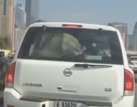 Un sofer din Dubai, filmat in timp ce isi plimba leul cu masina. VIDEO