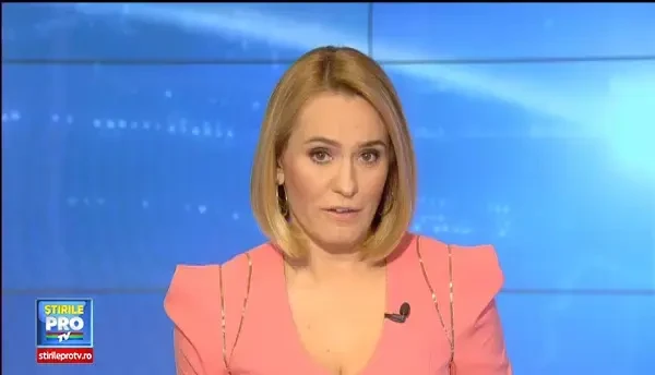 Coada de taur fiarta in vin rosu si stridii. Meniurile