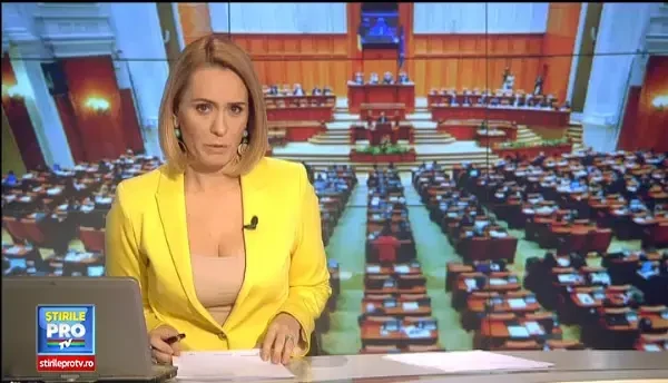 Semnele care anuntau divortul USL: PNL-ul si-a respins in Senat propriile legi. PSD: Ne pregatim sa guvernam singuri