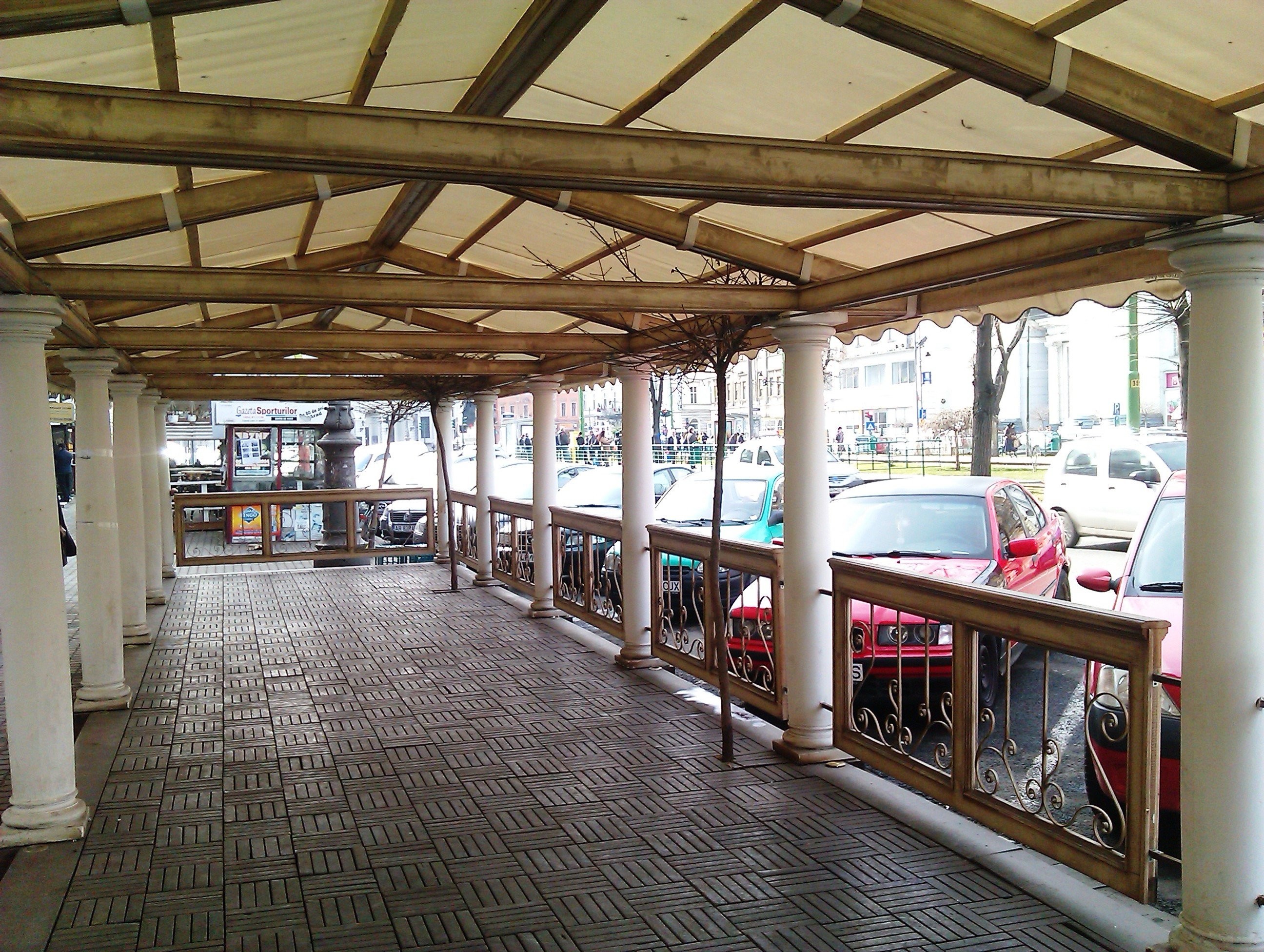 Terasele din Arad au inghitit si copacii, nu doar trotuarele. Ce spun specialistii fitosanitari