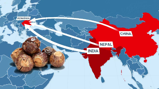 Nucile care inlocuiesc detergentul si piatra pe post de deodorant. Solutiile bio pentru romanii care sufera de alergii