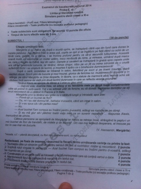 subiecte real simulare