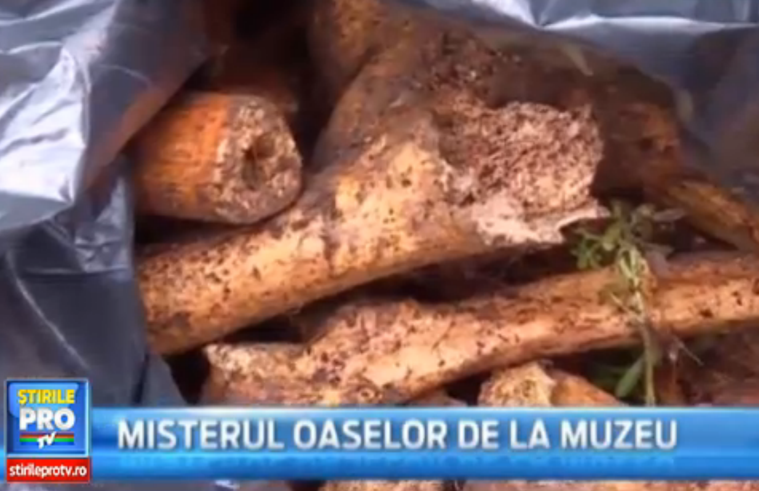 Descoperirea infricosatoare facuta de cativa muncitori, in fata Muzeului Civilizatiei Dacice si Romane din Deva