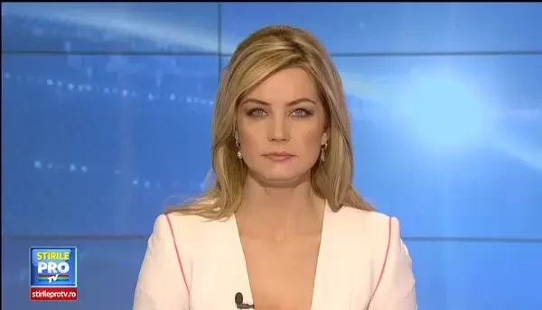 Acoperisul discordiei. Inscriptia montata de proprietarii casei l-a suparat pe primarul din Timisoara si i-a amuzat pe vecini