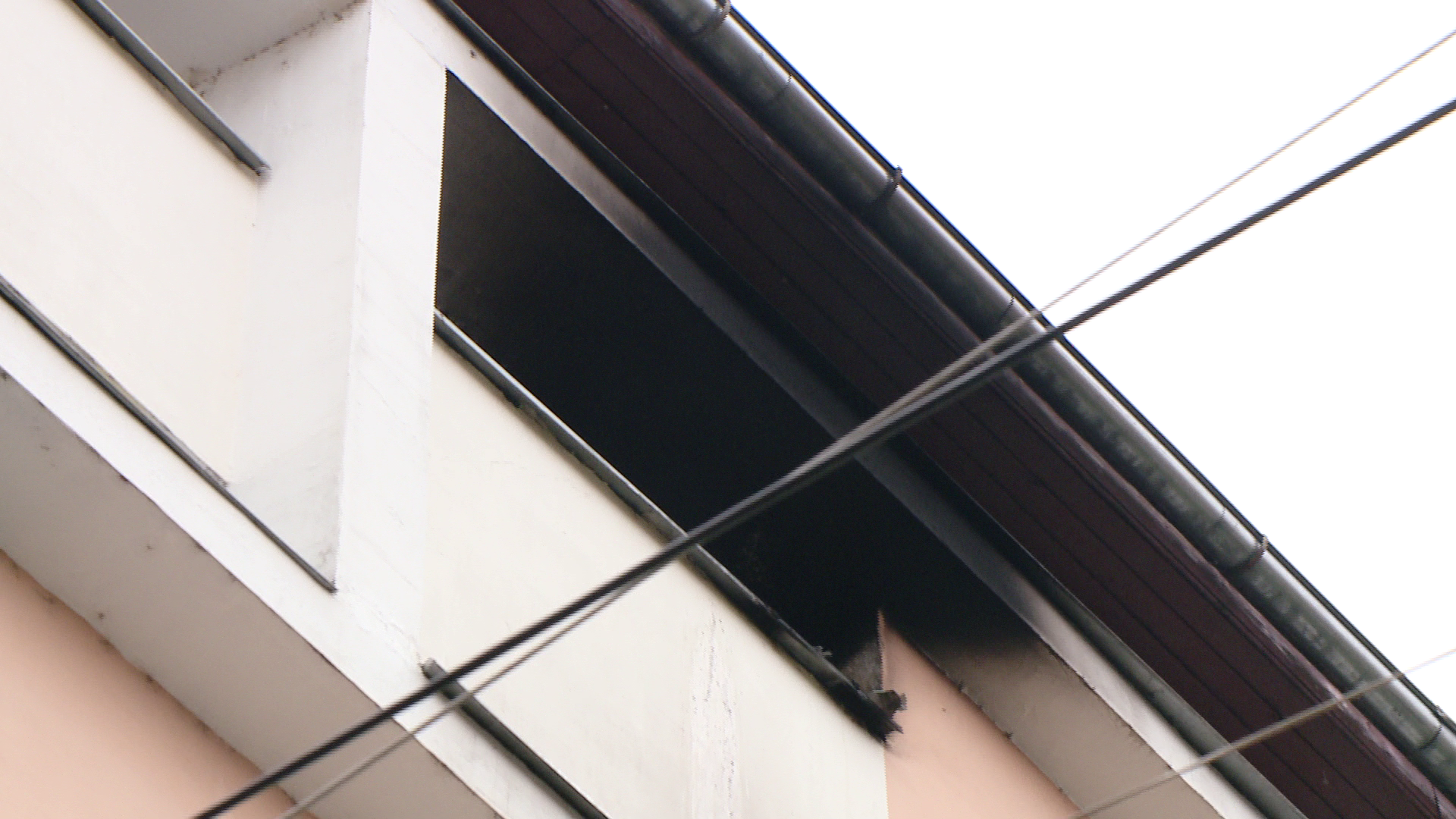 S-a starnit panica in Caminul 9 din Complexul Studentesc, dupa ce un incendiu a izbucnit intr-o toaleta. FOTO