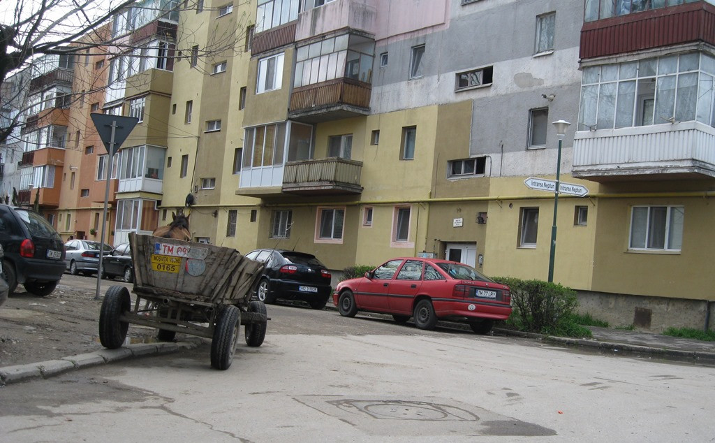 Amenzi pentru carutasii care se plimba pe strazile Timisoarei. Sase persoane au fost sanctionate