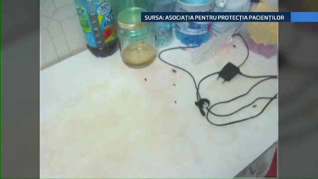 Continua seria incidentelor incredibile la Spitalul Judetean din Constanta. Gandacii au intrerupt pana si conferinta de presa