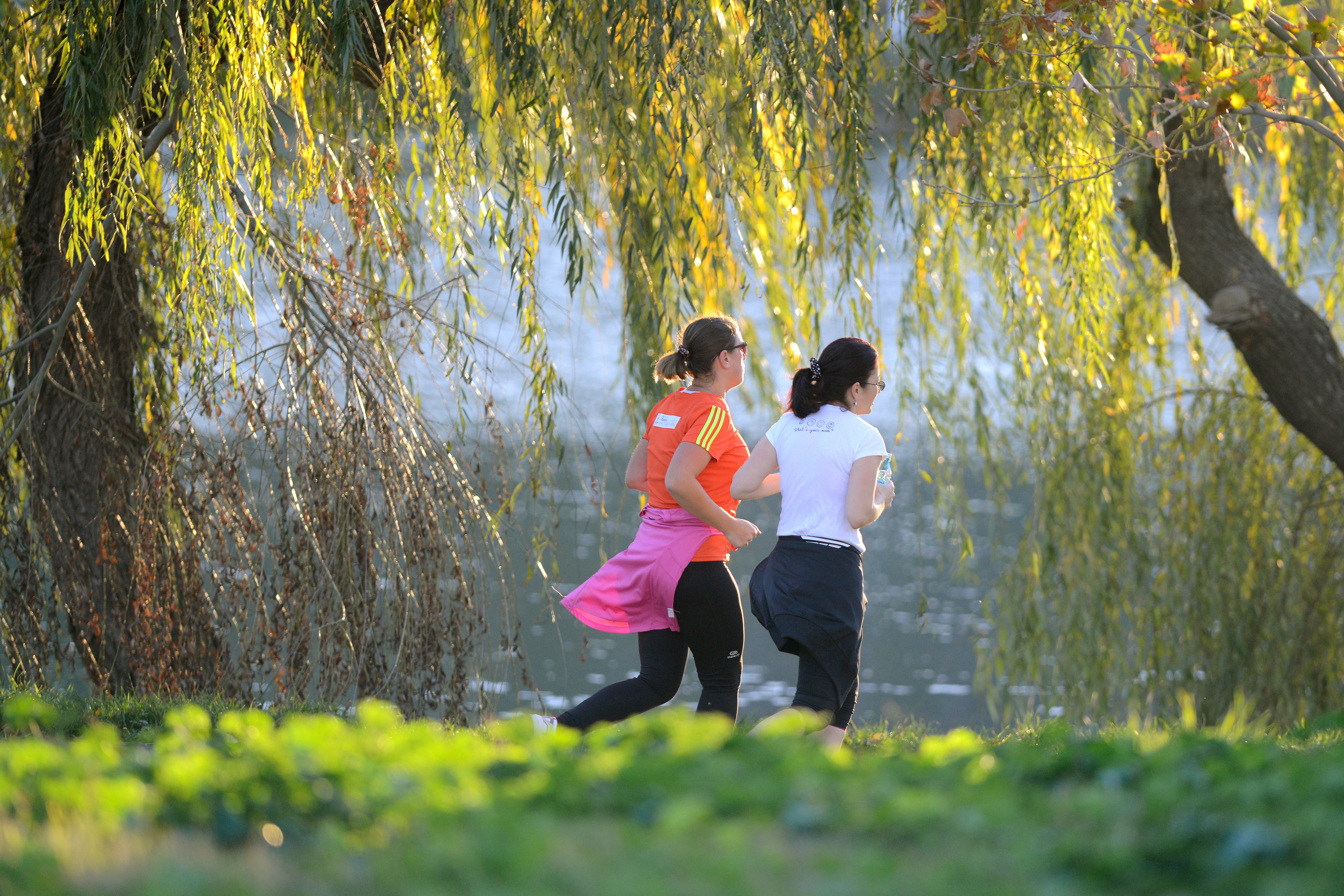 ANM: Temperaturile urca la 24 grade Celsius pana pe 1 aprilie. Pe arii restranse vor fi ploi slabe cantitativ