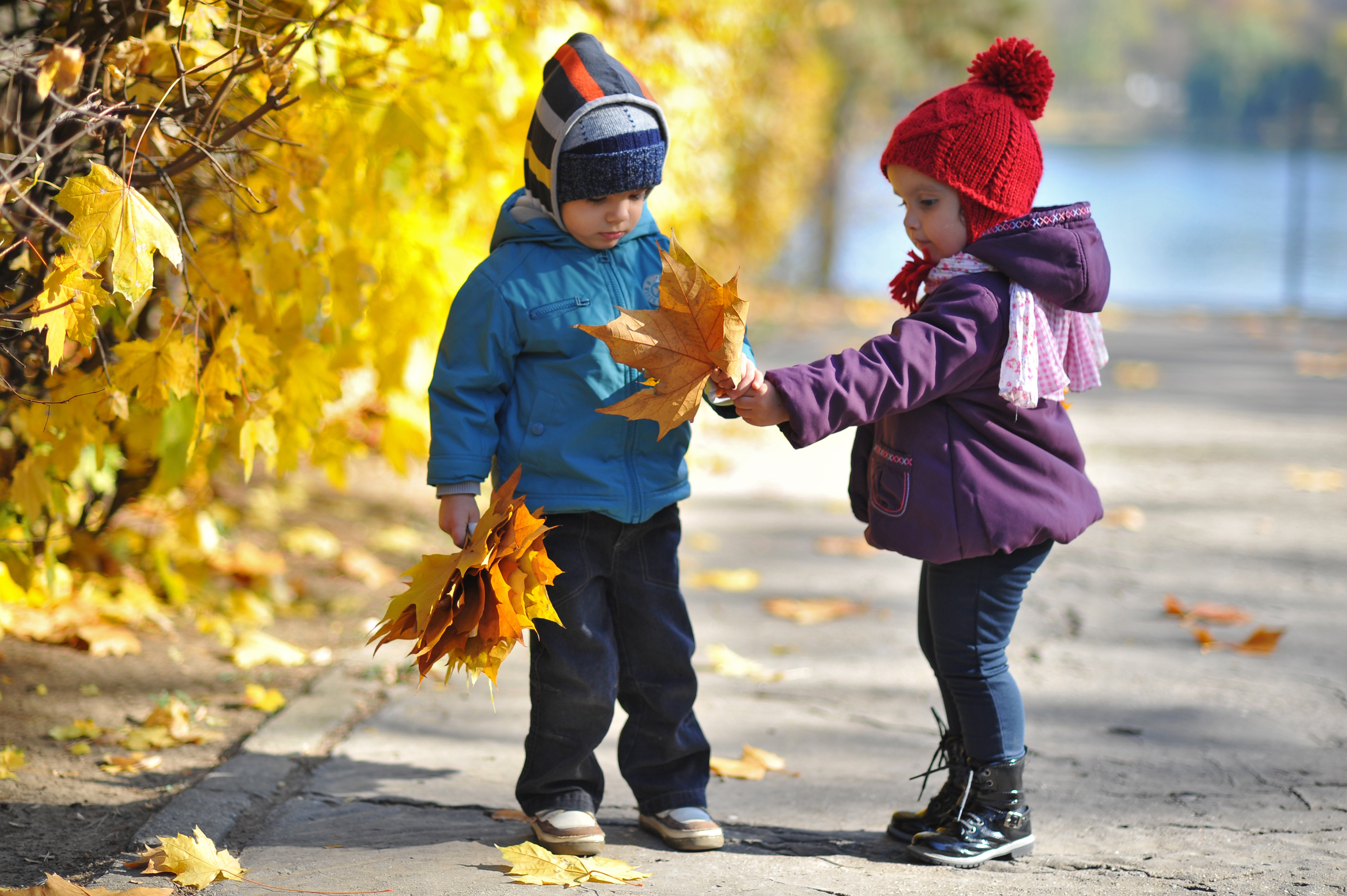 Vreme frumoasa si temperaturi mult mai ridicate decat ar fi normal la mijlocul lunii martie. Prognoza meteo pana luni