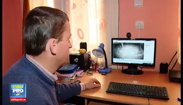 Atac sangeros la o stana din Mures. Un lup a fost surprins de camerele de filmat la furat de miei