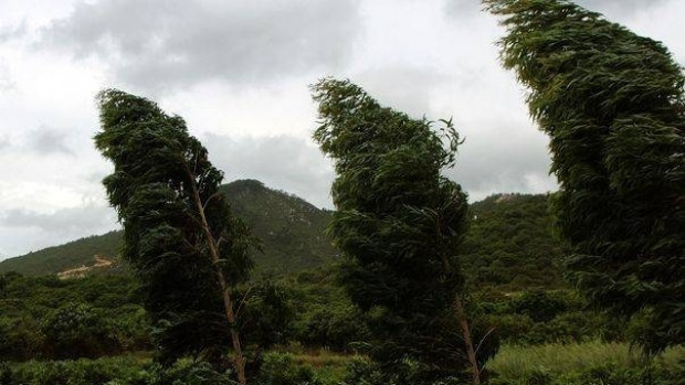 Temperaturi in crestere, dar si precipitatii si intensificari ale vantului in Bucuresti. Prognoza meteo pana luni