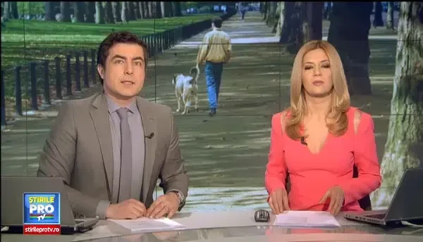 LISTA cainilor care scapa de sterilizare. Autoritatile anunta insa ca niciun animal nu va scapa de microcipare