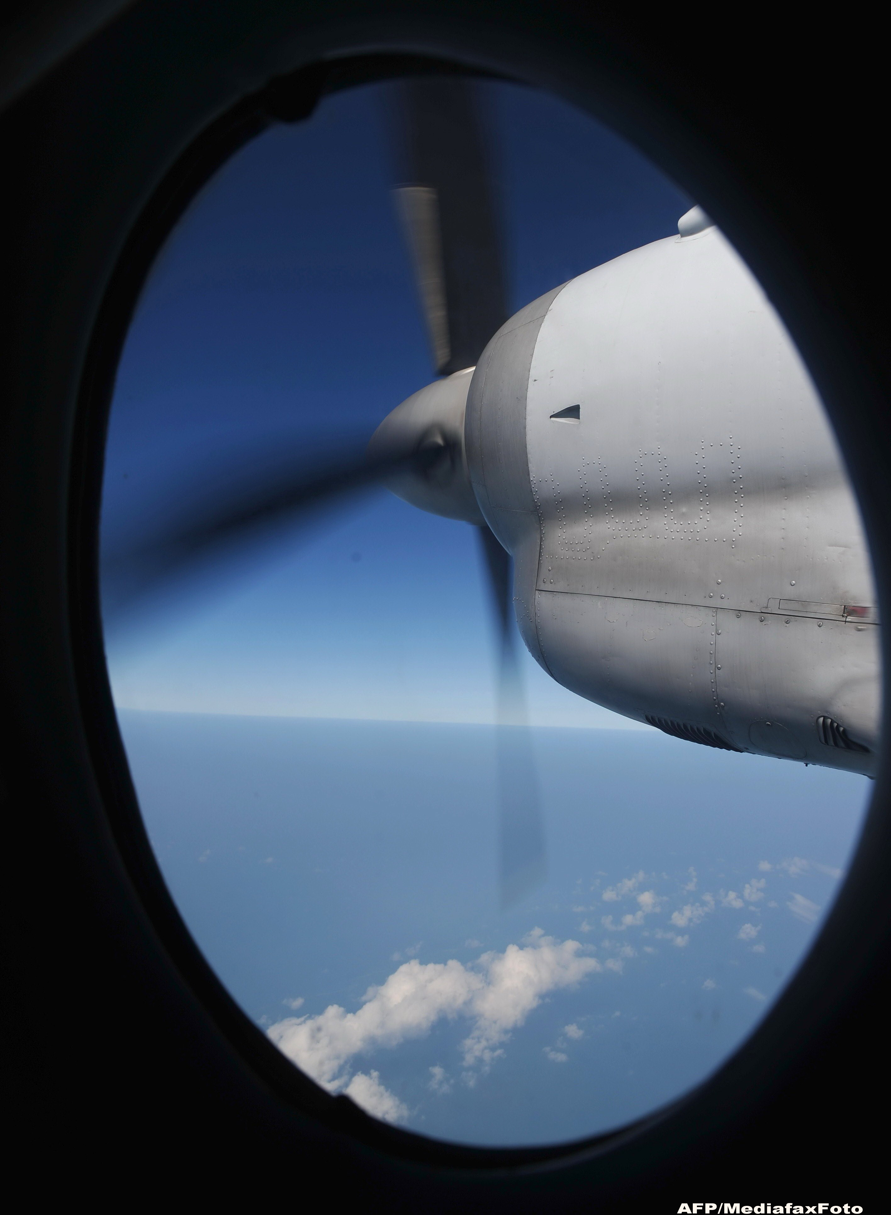 Gestul revoltator al unei stewardese. De ce a refuzat sa-l salveze de la moarte pe un barbat din SUA