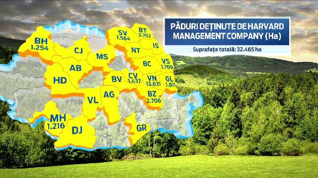 Universitatea Harvard, cel mai mare proprietar de paduri din Romania. De ce a ratat statul sansa de a le recupera
