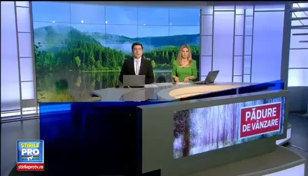 Universitatea Harvard, cel mai mare proprietar de paduri din Romania. De ce a ratat statul sansa de a le recupera