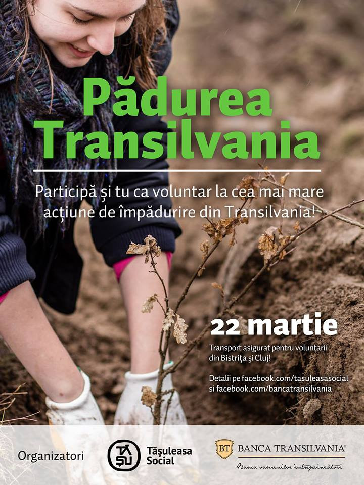 "Padurea Transilvania", cea mai mare actiune de impadurire din Ardeal isi incepe activitatea