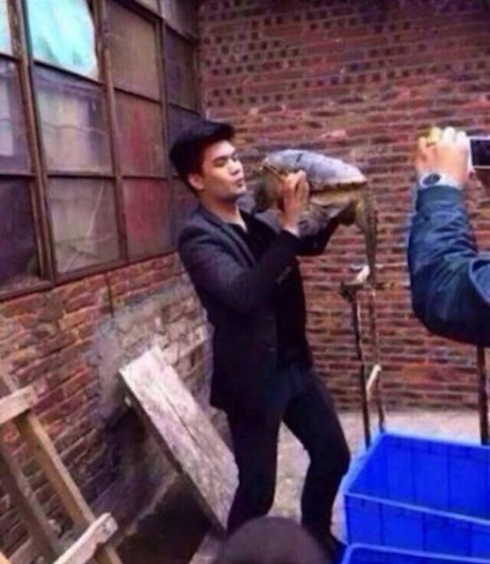 Tratament estetic natural si gratuit. Un chinez a incercat sa sarute o broasca testoasa si s-a trezit cu buza umflata. FOTO