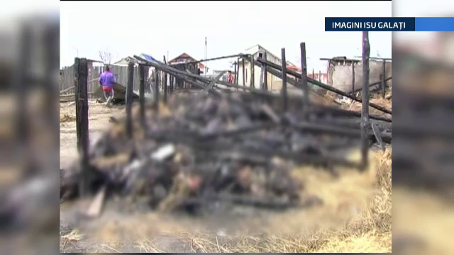 400 de animale si paznicul lor au murit intr-un incendiu, in Galati. O tigara aprinsa ar fi declansat focul, spun pompierii