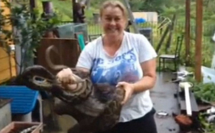 O femeie din Australia a descoperit ca un piton imens i-a mancat cainele din curte. VIDEO