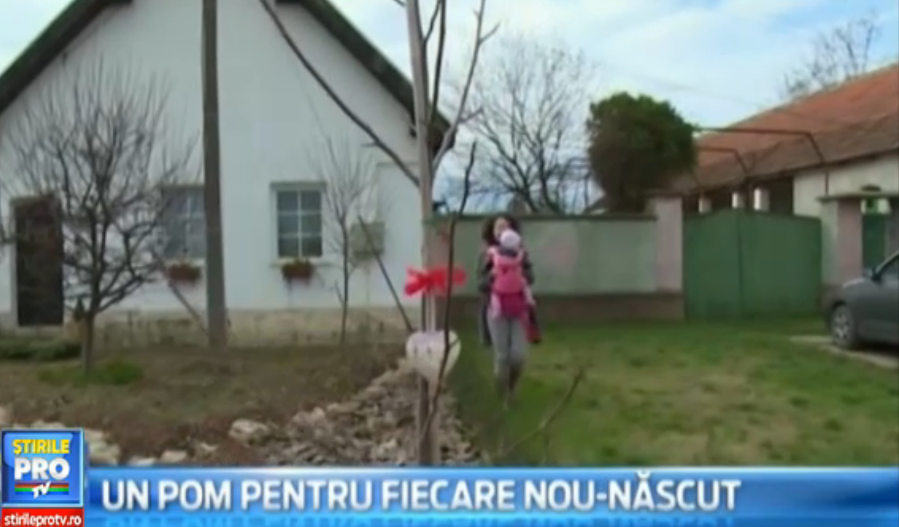 Un pom pentru fiecare nou-nascut. Initiativa unui gradinar din Oradea care pune in practica o idee uitata de parlamentari