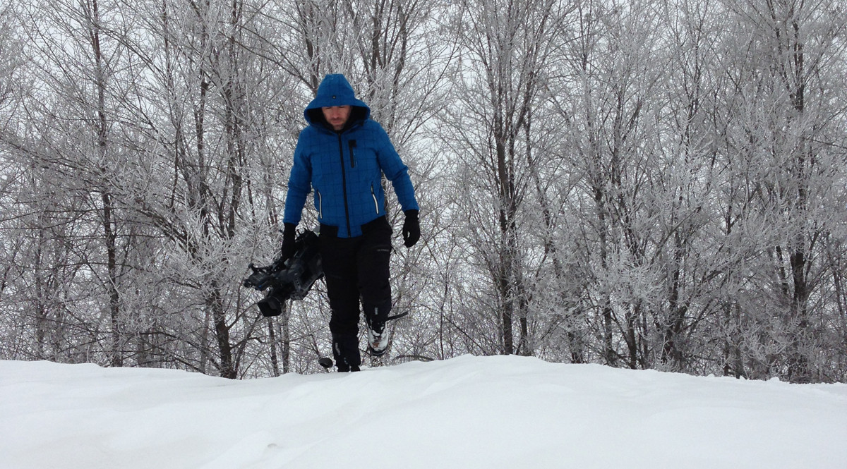 Romania fara perdea. Perdelele forestiere, solutia pentru ninsori si seceta pe care nu suntem in stare s-o aplicam