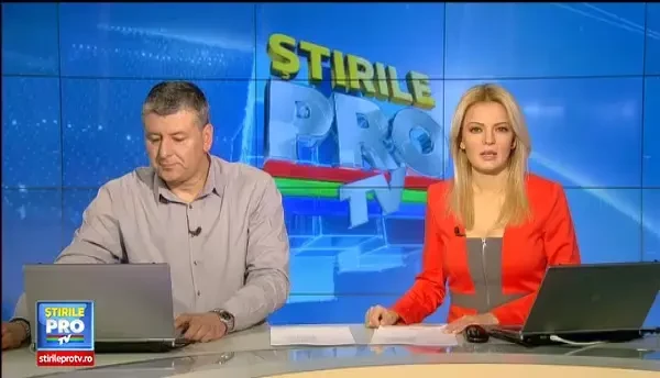 Primaria Timisoara verifica persoanele care au adoptat maidanezi. Sanctiunile date in cazul in care cainii au fost abandonati