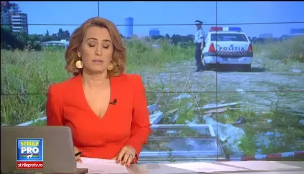 Promisiunile sfidatoare ale autoritatilor in cazul maidanezilor. O capitala europeana mai periculoasa ca o padure din munti