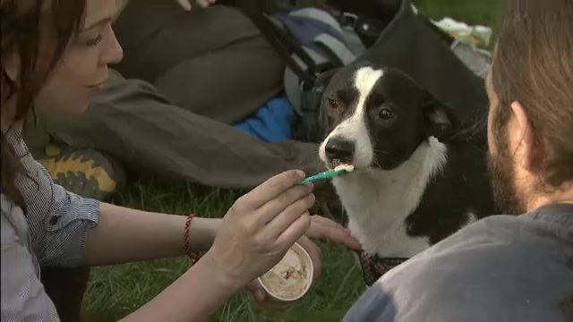 Temperaturi de vara in Capitala. La 23 de grade Celsius, bucurestenii au luat cu asalt parcurile si terasele