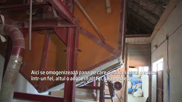 Doamna Tita a gasit secretul afacerilor in puful de gasca. Antreprenoarea din Bihor exporta in toata Europa penele pasarilor