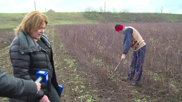Investitii din fonduri europene