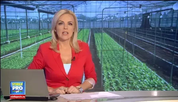 Vesti bune pentru agricultori. Fermierii vor fi sprijiniti pentru a obtine fructe si legume pe