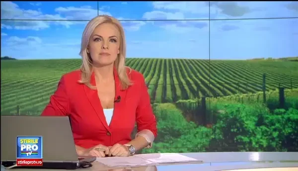 Competitia aromelor. Un vin alb demisec, marele castigator in cadrul unui concurs din Satu Mare