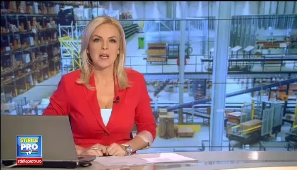 Doamna Tita a gasit secretul afacerilor in puful de gasca. Antreprenoarea din Bihor exporta in toata Europa penele pasarilor