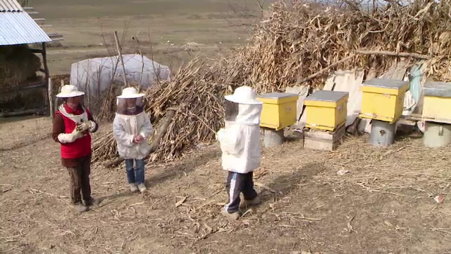 Americanii si taiwanezii vin in ajutor romanilor din zonele defavorizate. Investitii straine in afaceri si cabinete scolare