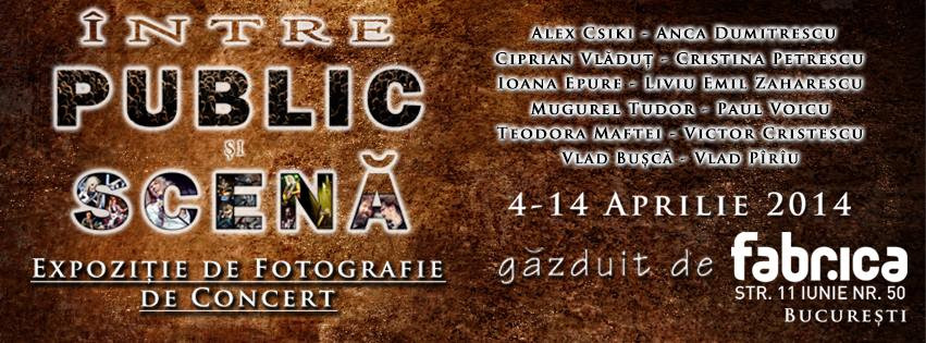 Cei mai cunoscuti fotografi de evenimente muzicale se reunesc la Bucuresti sub o singura expozitie: Concerte 2014