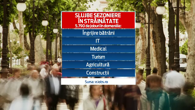 Grecii si cipriotii vaneaza romani pentru joburi sezoniere in aceasta vara. Ce oferte exista si care sunt salariile